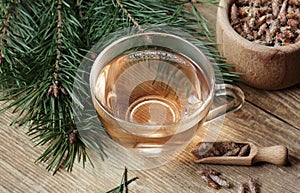 Pine buds herbal vitamin tea in a glass cup with needles and buds nearby on rustic wood