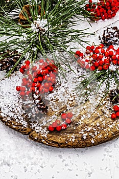 Pine bumps and branches with red rowan on an old snow-covered table