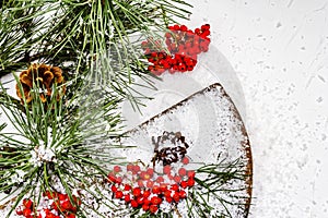 Pine bumps and branches with red rowan on an old snow-covered table