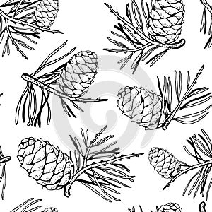 Pine cedar cone with a sprig, vector seamless background