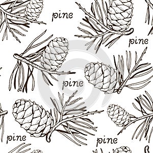 Pine cedar cone with a sprig, vector seamless background