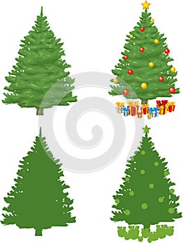 Borovica vianočný stromček 