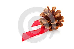 Pine cone