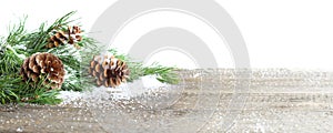 Pine cone and branch