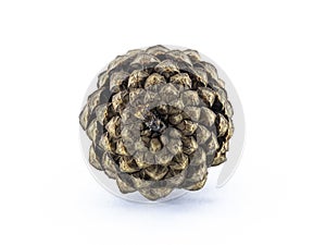 Pine cone brown. Material for Christmas tree decoration