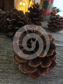 Pine Cone, Christmas Ornement Decoration, Candles, Red, Green, NoÃÂ«l photo
