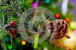 Pine cone on Christmas tree lights background