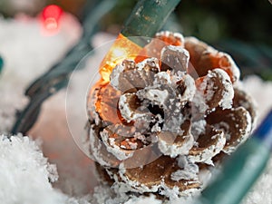 Pine cone on decorative snow under a Christmas tree