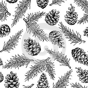 Pine cone and fir tree seamless pattern. Botanical hand drawn