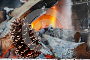 Pine cone on a fire background