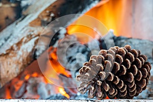 Pine cone on a fire background
