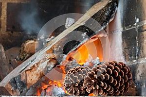 Pine cone on a fire background