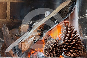 Pine cone on a fire background