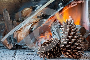 Pine cone on a fire background