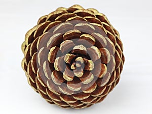 Pine cone tip