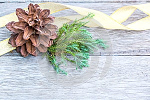 Pine Cone and golden ribbon