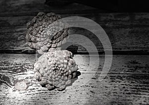 Pine cone on an isolated background with a picture of the structure of the cone