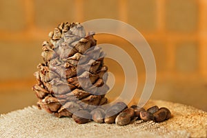 Pine cone and nuts in a shell on a napkin on the background of a brick wall.