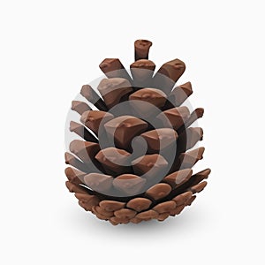 Pine cone. Realistic 3d object isolated on white. Christmas greeting card design template element. Pinecone vector icon, symbol, photo