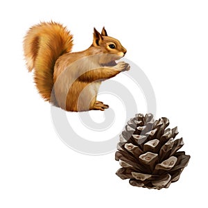 Pine cone. Red Squirrel, Sciurus Vulgaris, eating