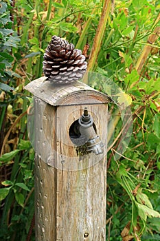 Pine cone resting on top of a water tap holder