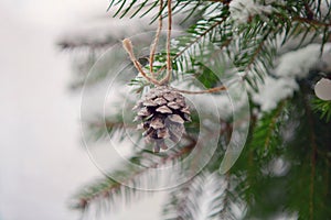 pine cone with rope on christmas tree. snow and winter time. Christmas wallpaper. Spruce branches