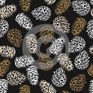 Pine cone seamless pattern. Hand drawn vector illustration. Engraved coniferous winter cones. Christmas, Xmas, New Year photo