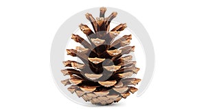 Fluffy cumulus cloud against a white background, featuring a dense, rounded stru