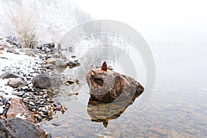 A pine cone sits on a rock over Convict Lake