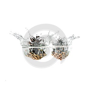 Pine cone splash on water, isolated on white background