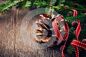 Pine cone and spruce twigs for christmas