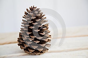 Pine cone stood on a wooden bench