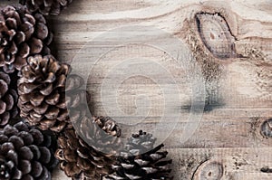 Pine cone on wood background