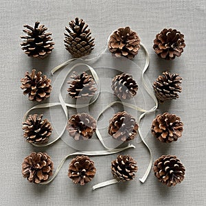 Pine cones arranged in a grid pattern on a textured gray surface