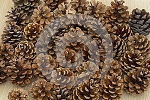 Pine cones background