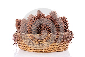 Pine cones in a basket