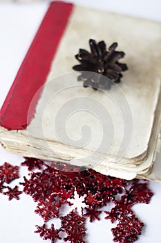 Pine cones on book on white table.