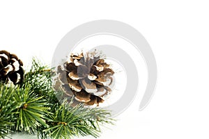 Pine cones on the Christmas tree branch