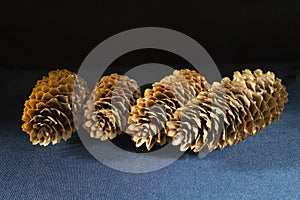 Pine cones close-up on a black background