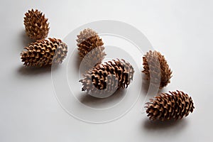 Pine cones diagonal Christmas pattern