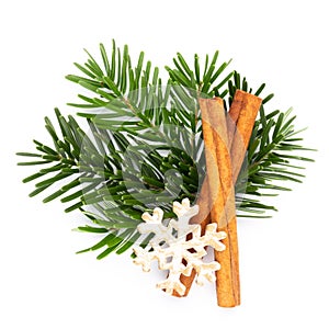 Pine cones and fir tree branch on a white background