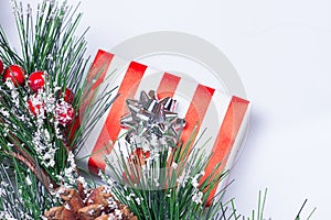 Pine Cones and Gifts photo