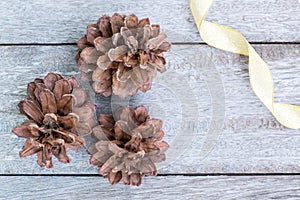 Pine Cones and golden ribbon