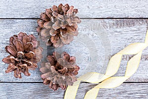 Pine Cones and golden ribbon