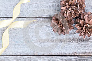 Pine Cones and golden ribbon