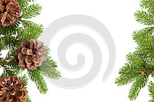 Pine Cones and Needles