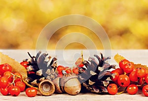 Pine cones, oak acorn and rowanberry on wooden board against bokeh background