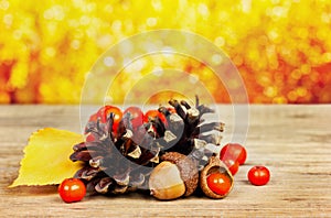 Pine cones, oak acorn and rowanberry on wooden board against bokeh background photo