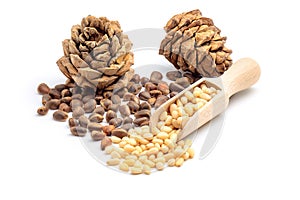 Pine cones and peeled pine nuts in wooden scoop isolated on white.