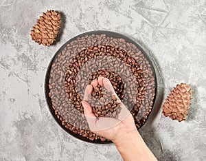 Pine cones in a person& x27;s hand and nuts in a frying pan on a gray